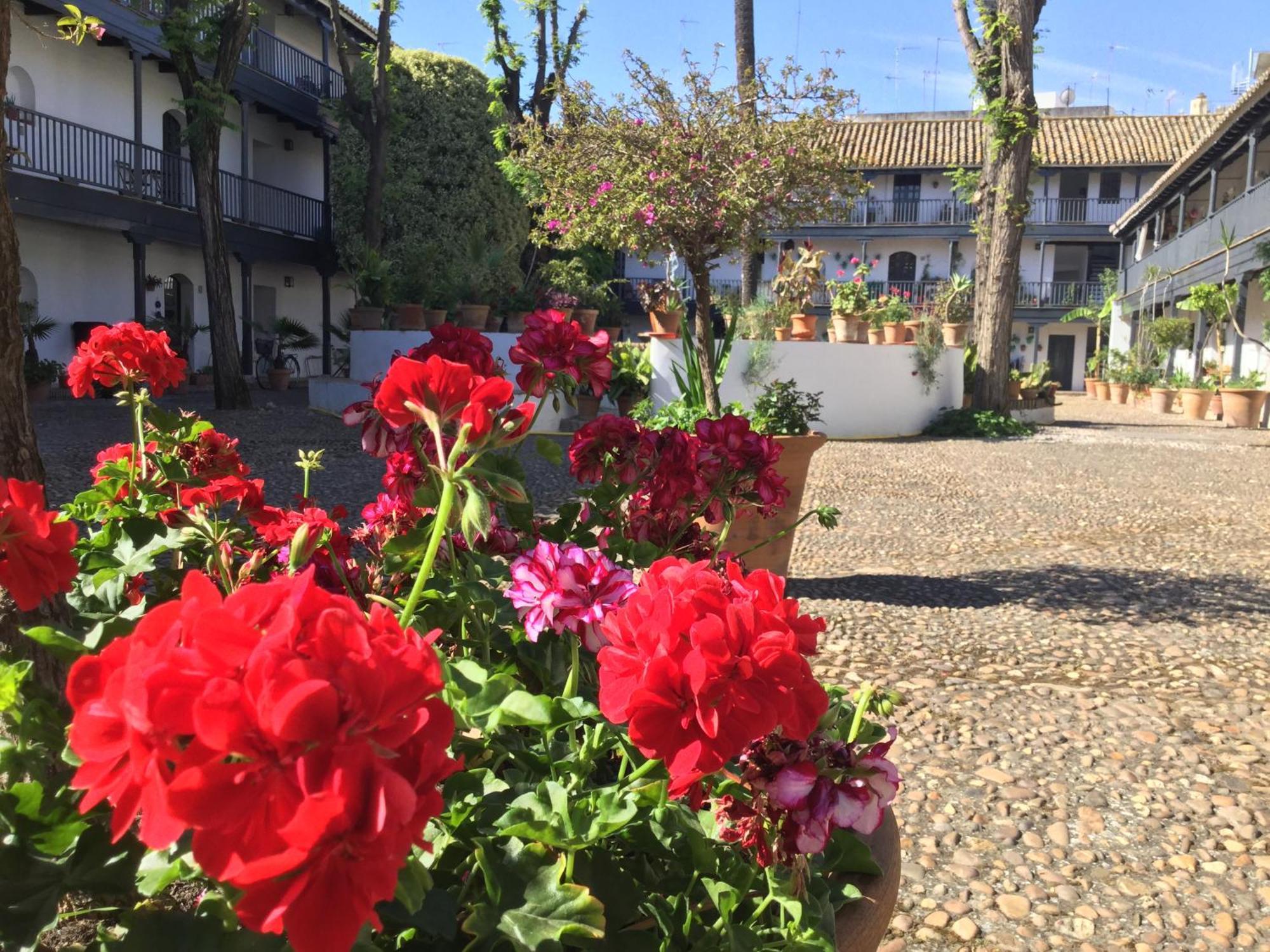 Andalusian Courtyard — Fotos 3